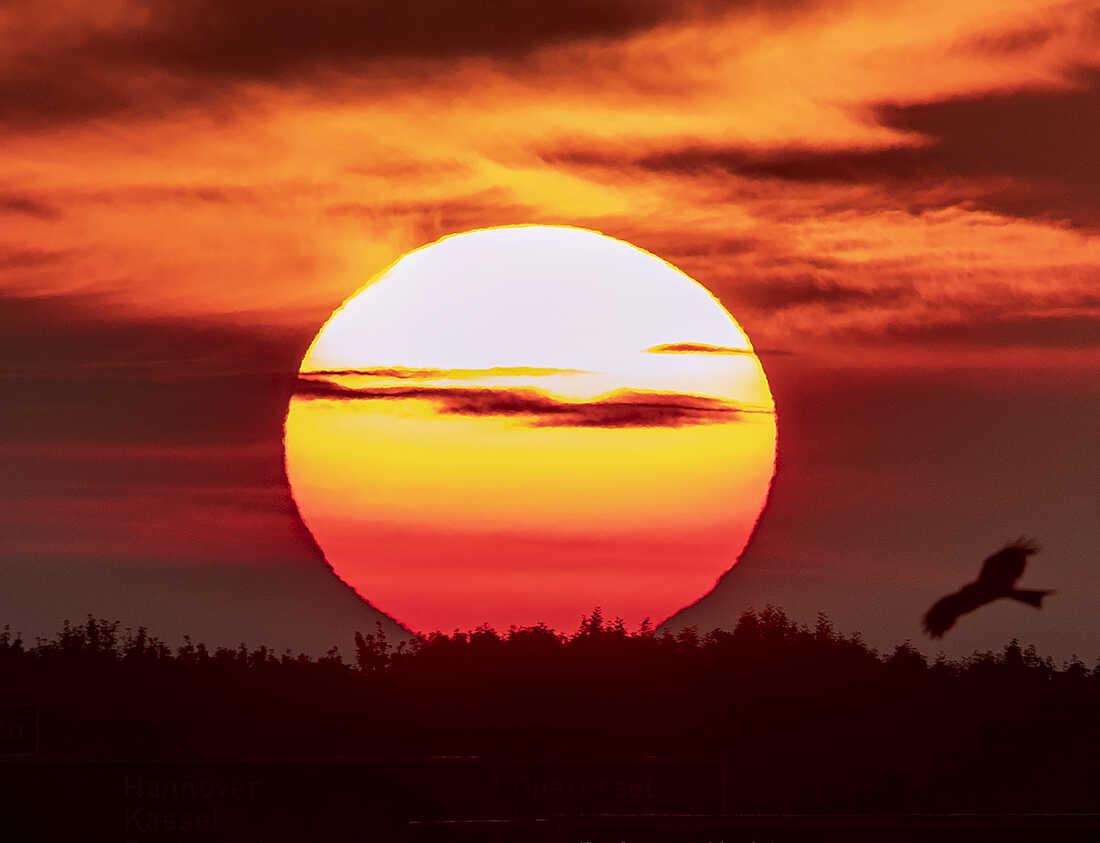 Blessed Summer Solstice - Ọya and Ṣàngó Festival