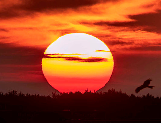 Blessed Summer Solstice - Ọya and Ṣàngó Festival